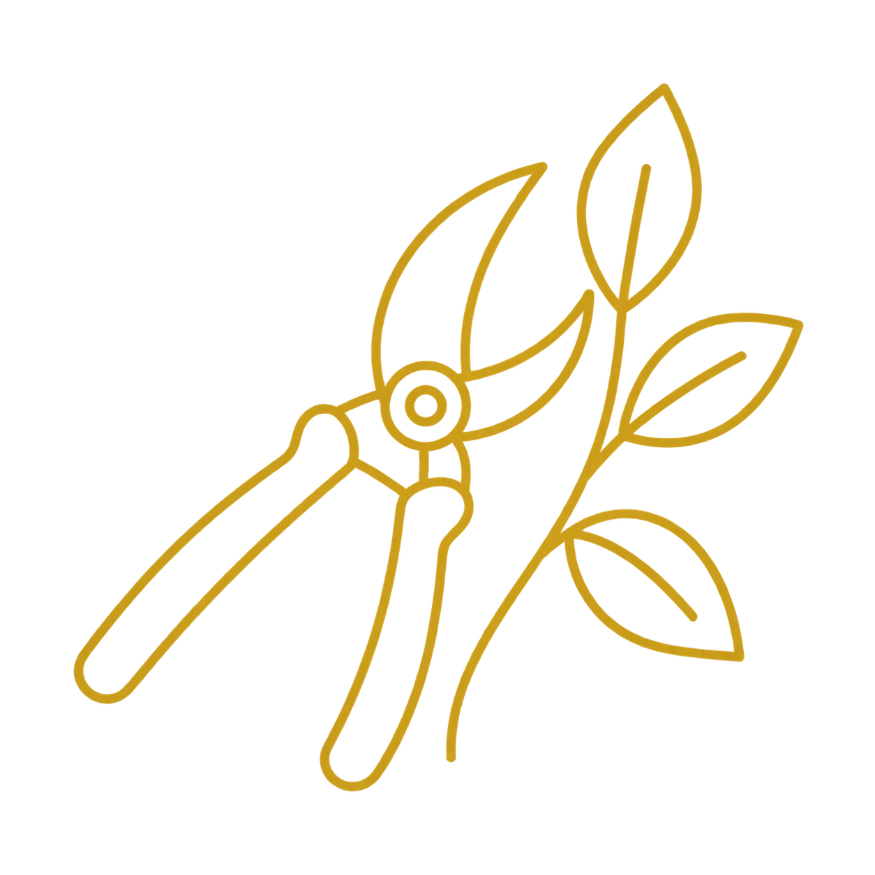 Jardinería